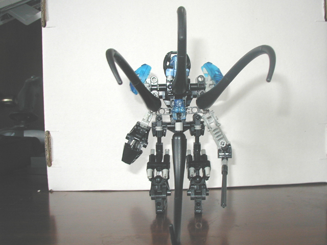 calabra_backshot.jpg