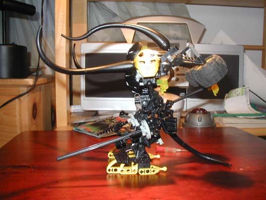 mestuvis_sideshot.jpg