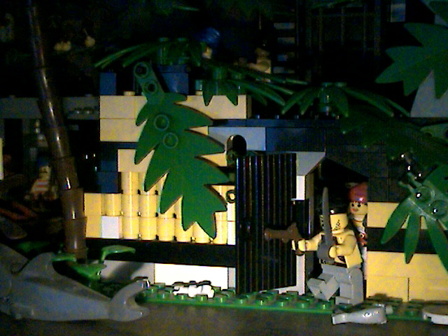 parrotcove04.jpg