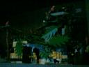 ParrotCove