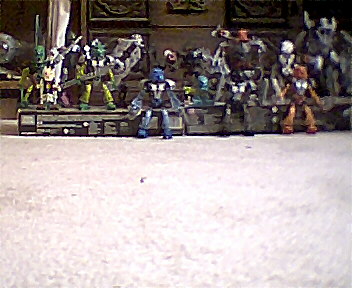 my_bionicle_collection001.jpg