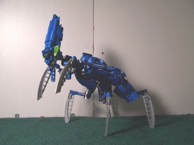 acklay10.jpg