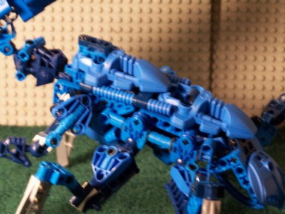 acklay9.jpg