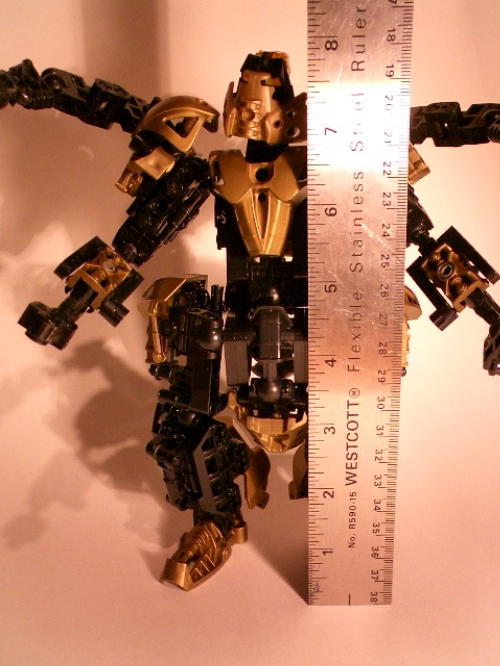 robotheight.jpg