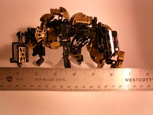 spidersize.jpg
