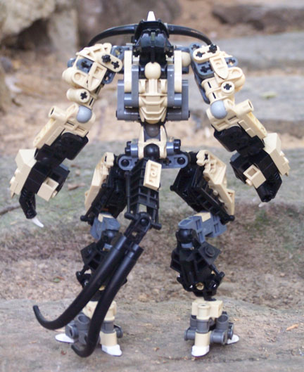 back.jpg