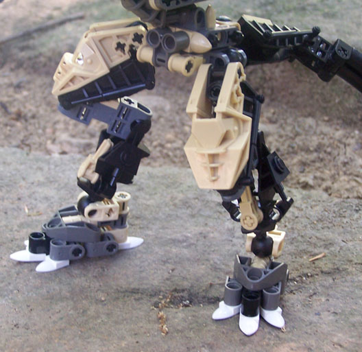 legs.jpg