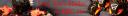 zbanner.jpg