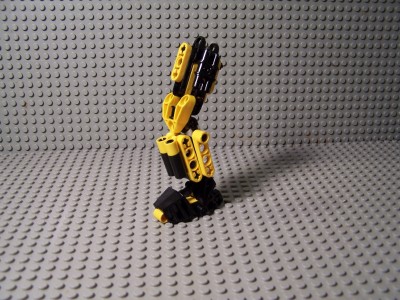 leg.jpg