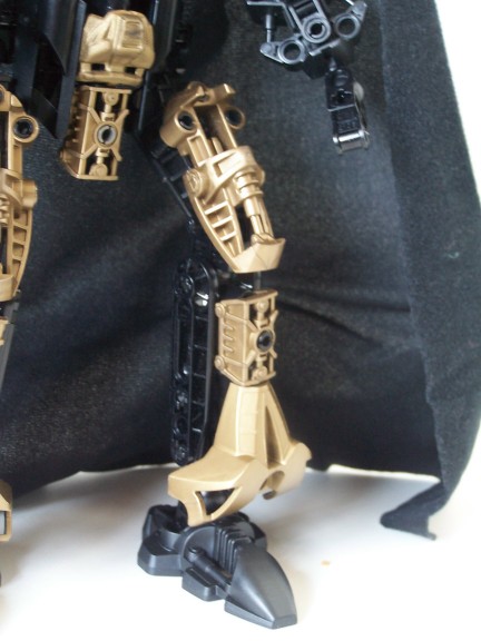 leg.jpg