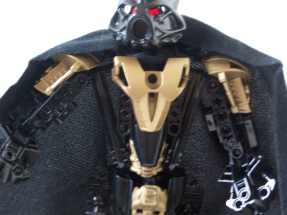 torso.jpg