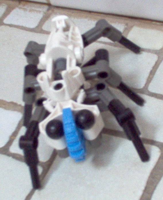 beetleko.jpg