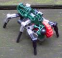 beetlele.jpg