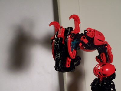 head.jpg