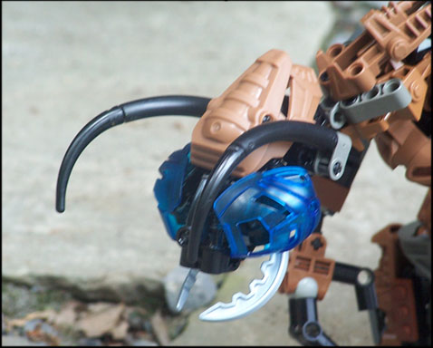 head.jpg