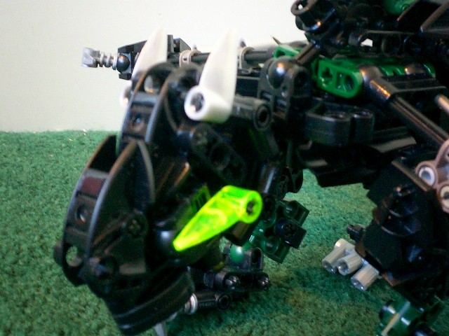 headupclose.jpg