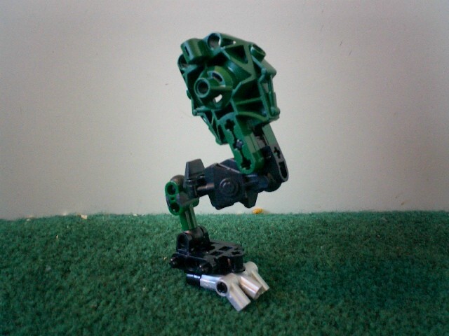 hindleg.jpg