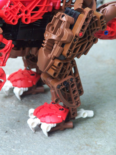 leg.jpg