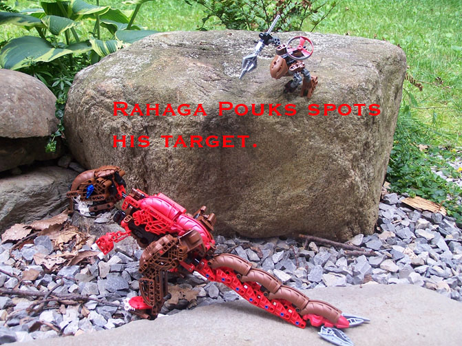 pouks1.jpg