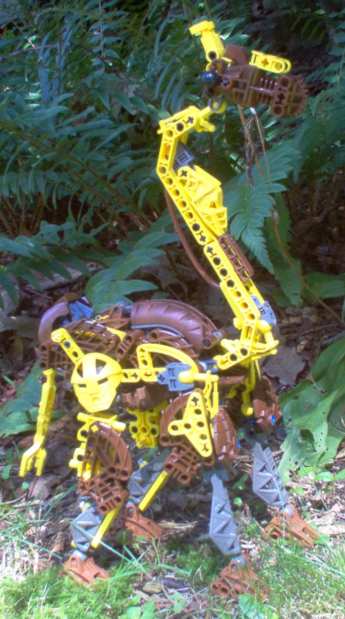 giraffe1.jpg