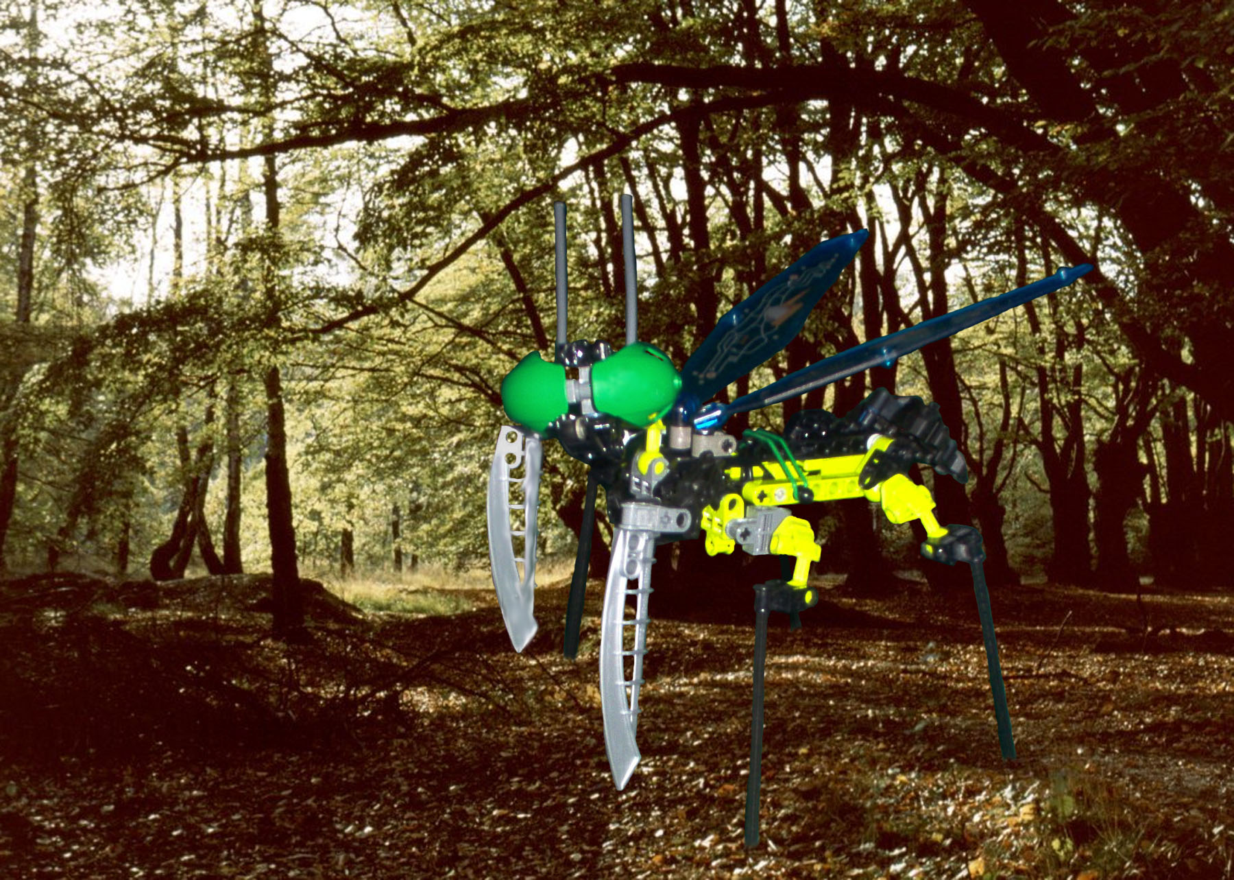 mantis.jpg