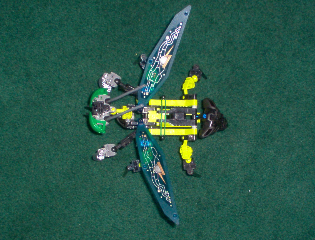 mantis2.jpg