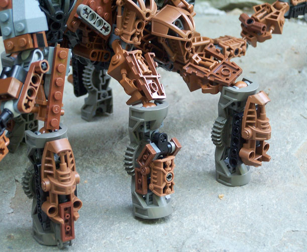 legs.jpg