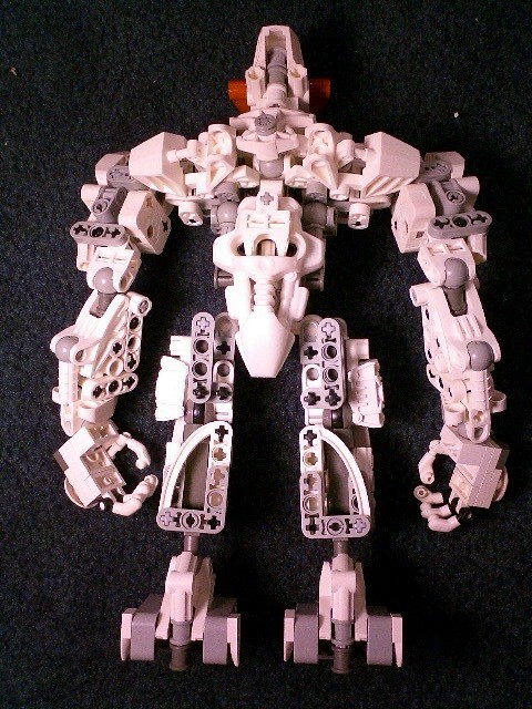yetiback.jpg