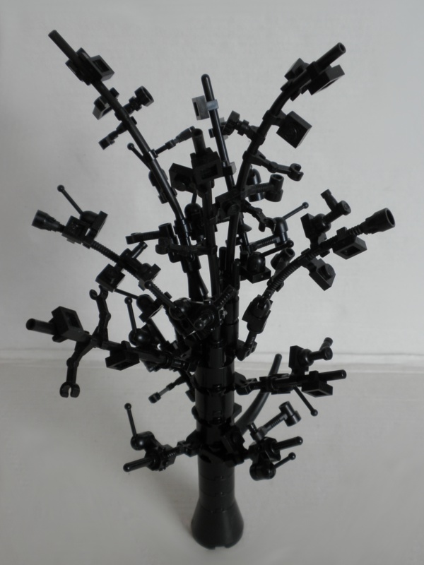 siberiatree01.jpg