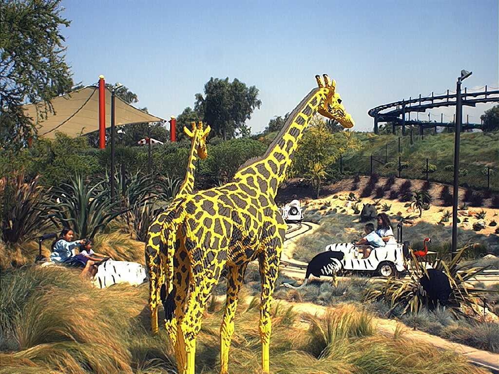 giraffes.jpg