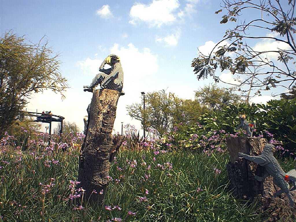 monkeys.jpg