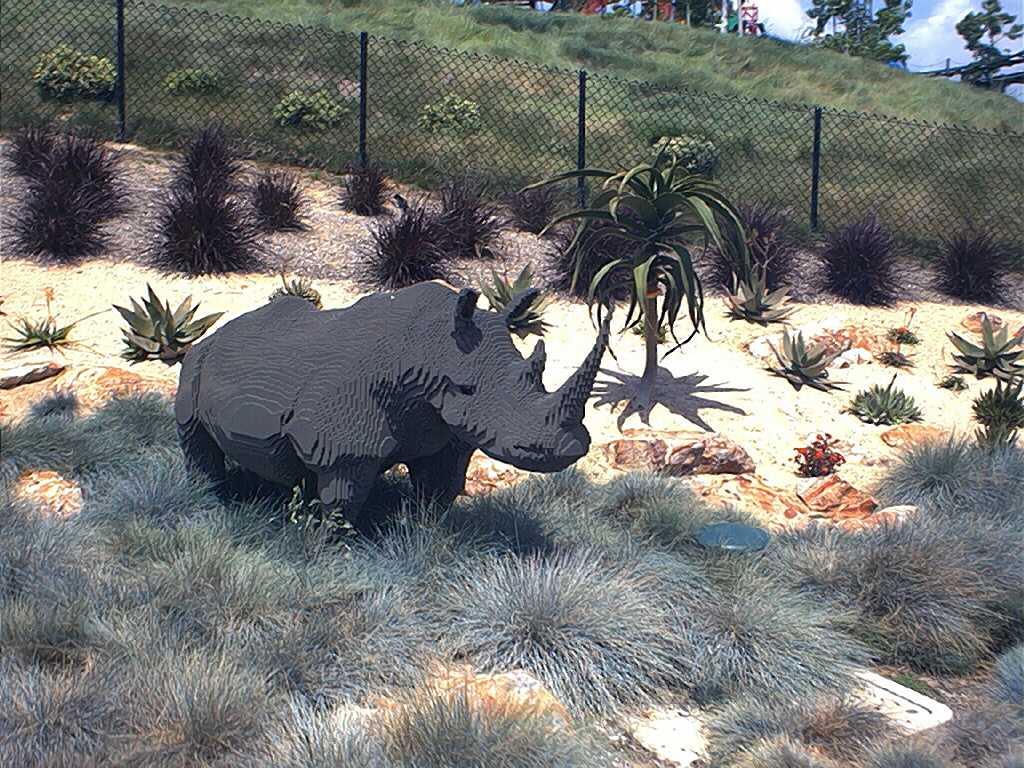 rhino.jpg