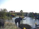 elephant-shootingwater.jpg