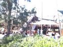 junglegym-2.jpg