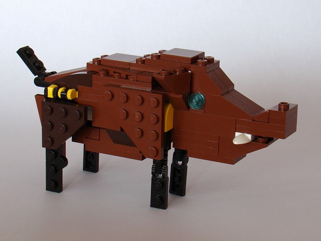 31004-4-1-boar.jpg