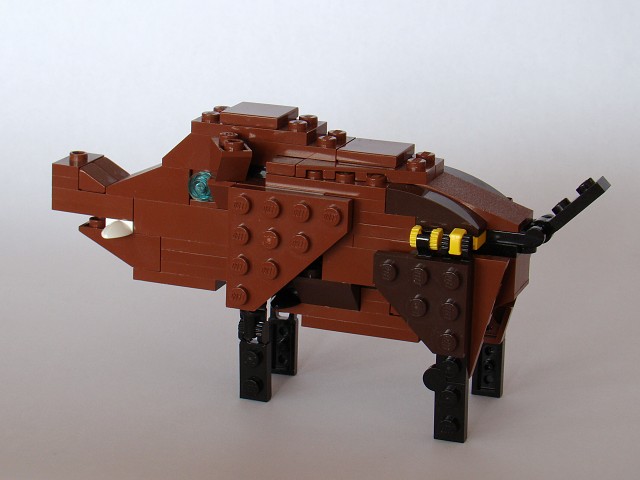 31004-4-2-boar.jpg