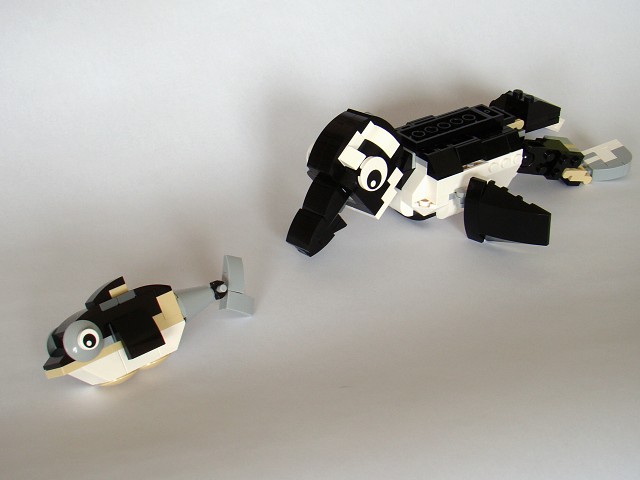 31021-2-penguin.jpg
