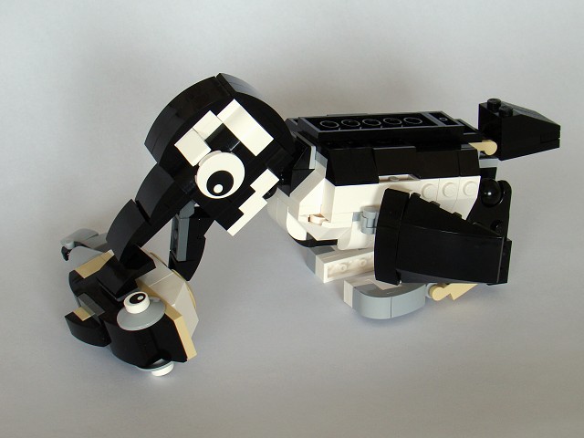 31021-4-penguin.jpg
