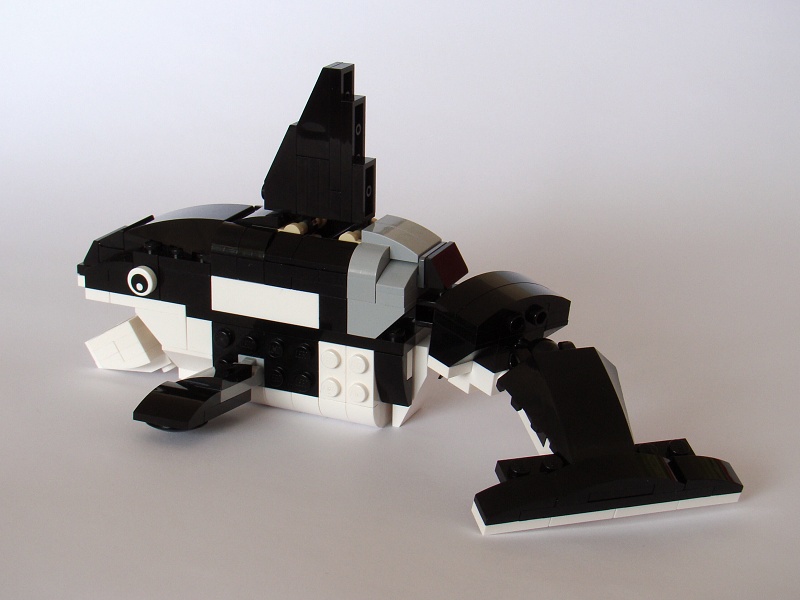 31021-7-killer_whale.jpg