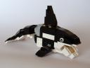 31021-6-killer_whale.jpg