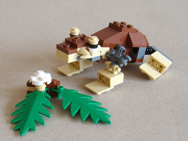 4916-2-1-frog.jpg