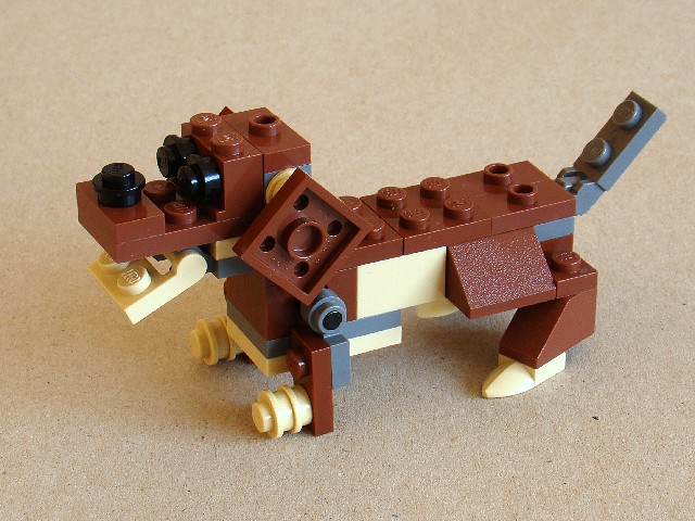 4916-3-1-dachshund.jpg