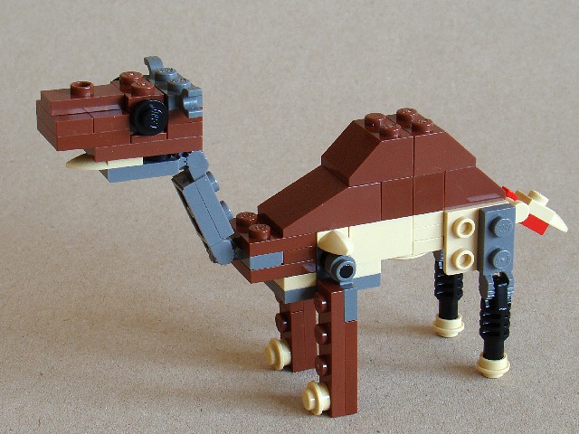 4916-4-1-camel.jpg