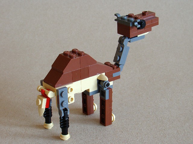 4916-4-2-camel.jpg