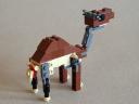 4916-4-2-camel.jpg