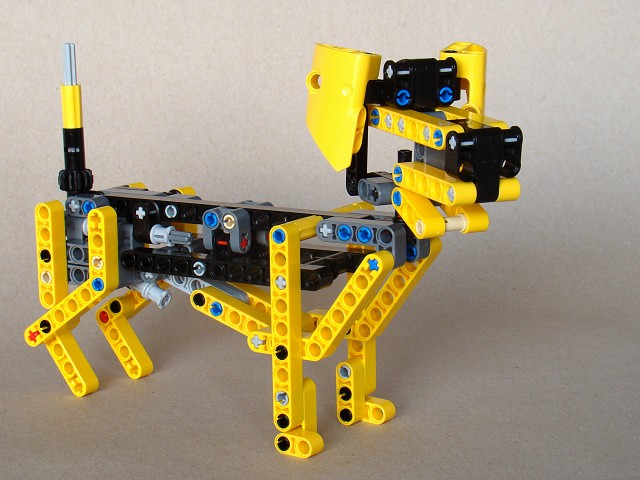 8067_model_1-2-dog.jpg