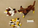 31004-2-3-dachshund.jpg