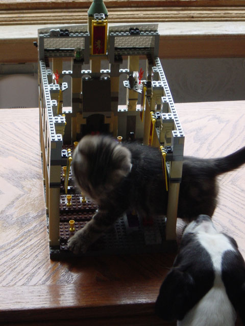 lego_kitten-001.jpg