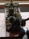 lego_kitten-001.jpg