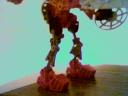 k-legs.jpg